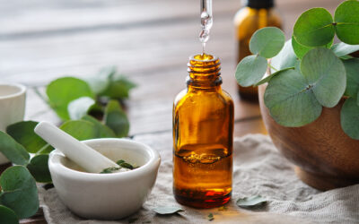 Exploring the Aromatic Wonders of Eucalyptus Oil: Nature’s Gift for Wellness